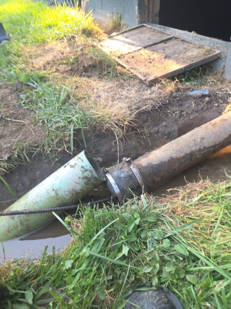 Green PVC pipe coupled to an older sewer line in a shallow outdoor trench